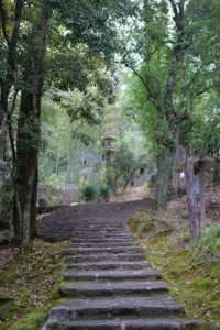 เทียนซินเหยียน: “正” ที่แท้จริงของอู่อี๋เหยียนฉา (武夷岩茶)